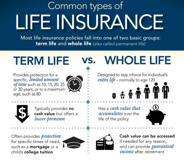 image-813646-types_of_life_insurance-c51ce.w640.png
